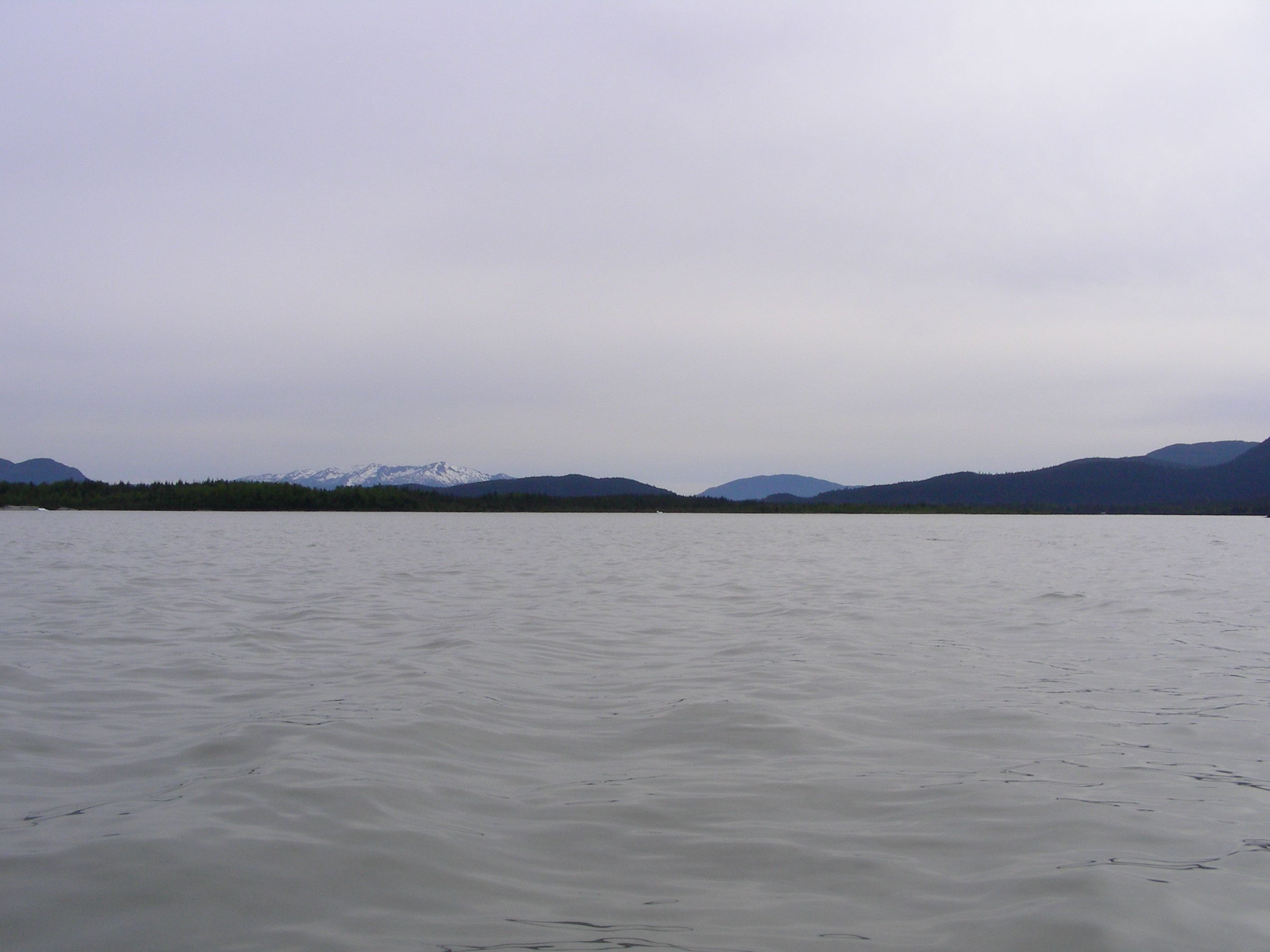 ./2017/08 - Alaska Cruise/08 - Juneau/DSCN9509.JPG